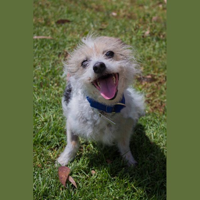 Photo of Ralph