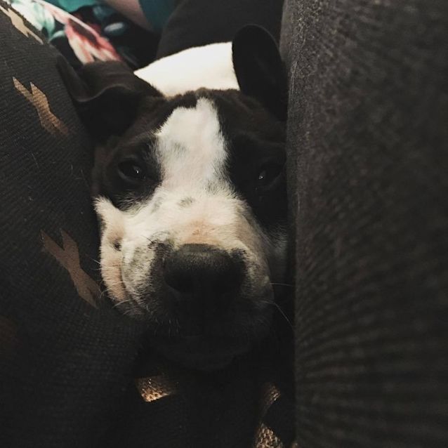 Photo of Mojito