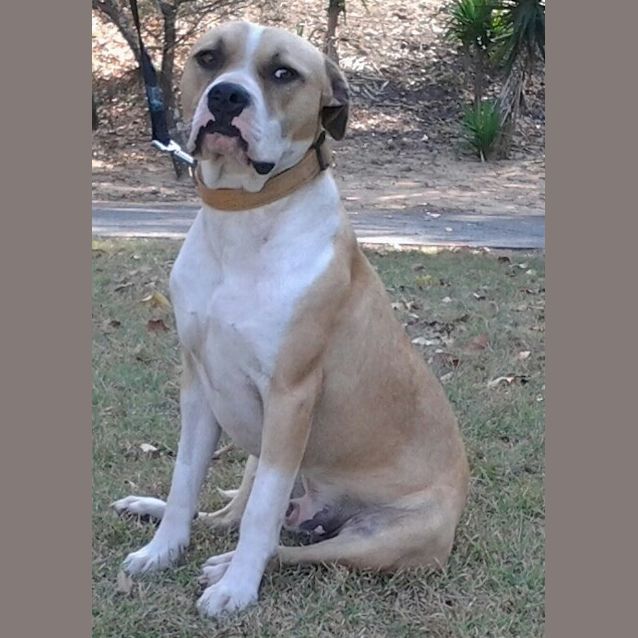 Photo of 006 5700 Gus