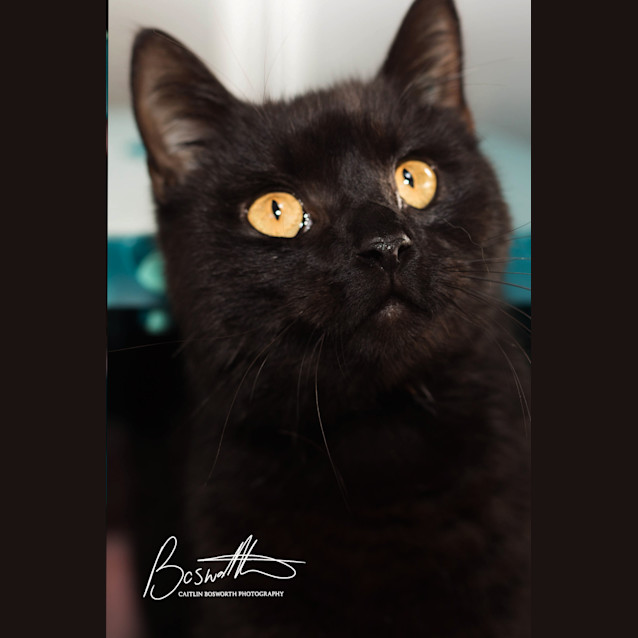 Photo of Clive