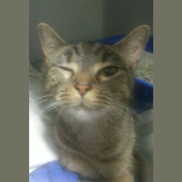 Photo of Janiya