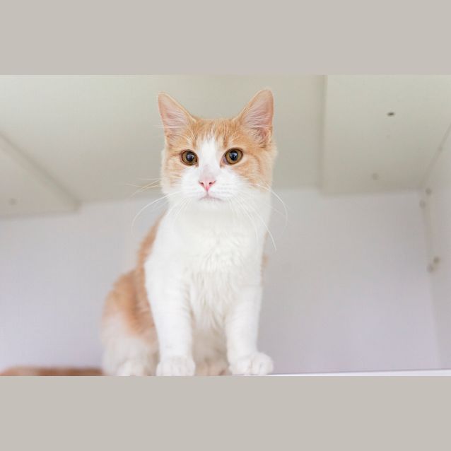 Photo of Richard