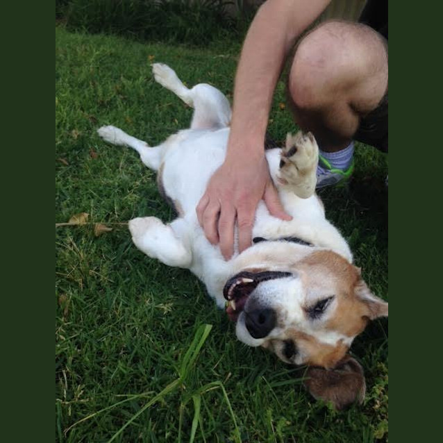 Photo of Bailey Dl1161