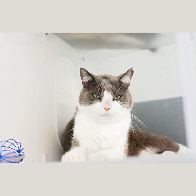 Photo of Charlie