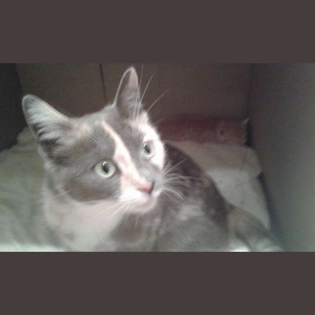 Photo of Mia