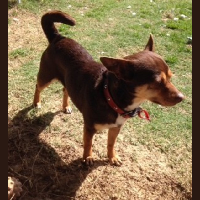 Photo of Joey And Sally