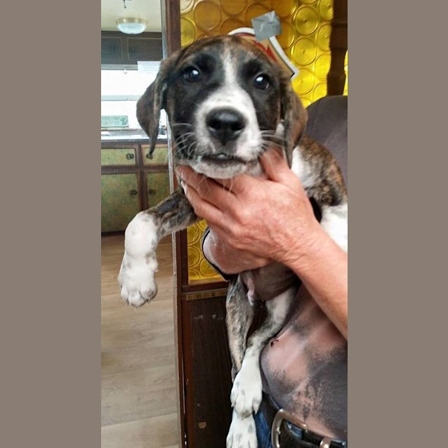 Photo of Hamish