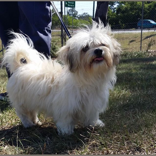Photo of Babyboo