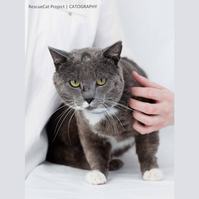 Photo of Lucas Bear (4364)