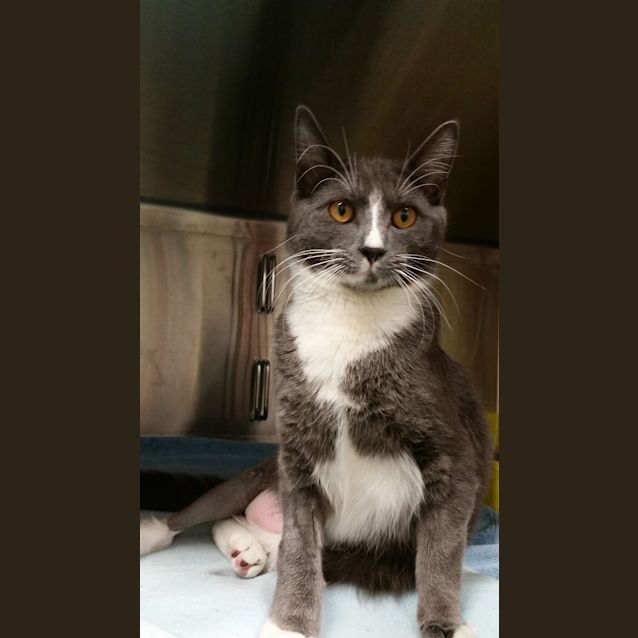 Photo of Monty
