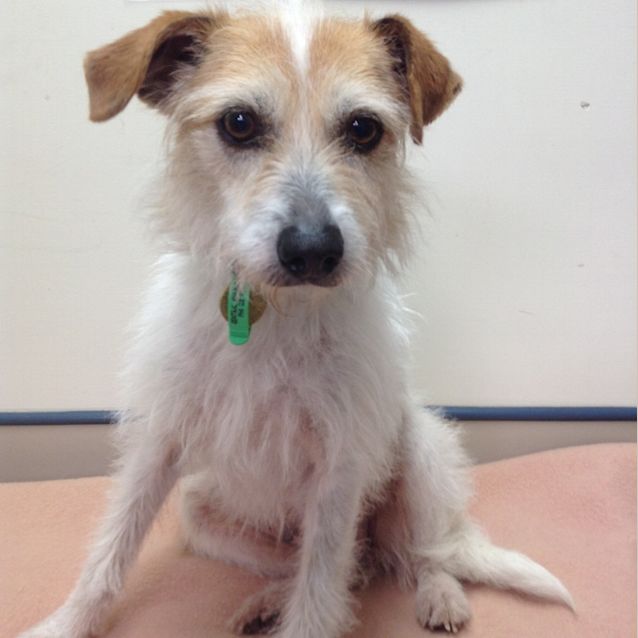 Photo of Suzie