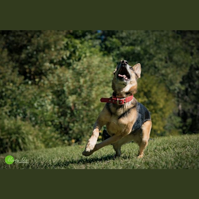 Photo of Lucy