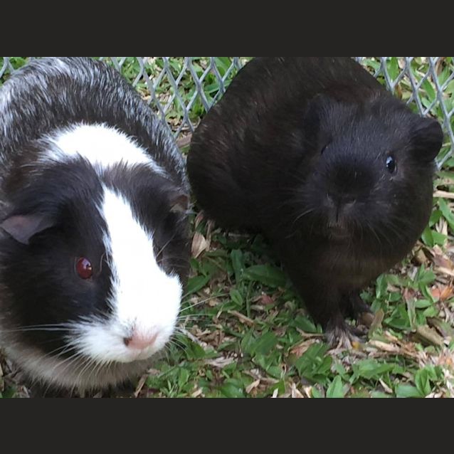 Photo of Marge And Lisa