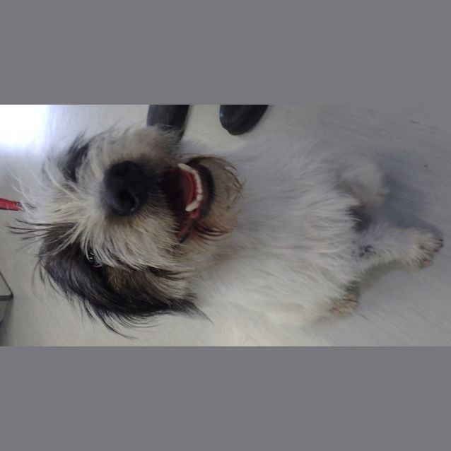 Photo of Russell