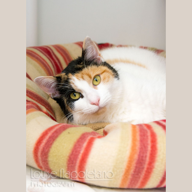 Photo of Dottie
