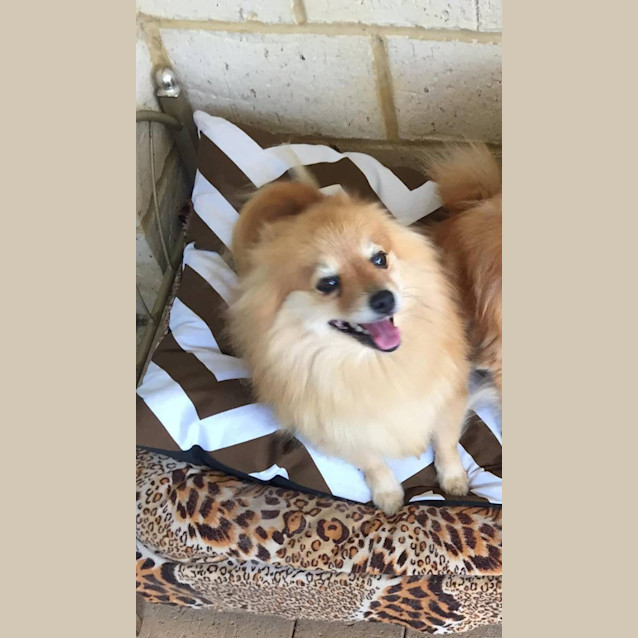 Photo of Bella Dl1193
