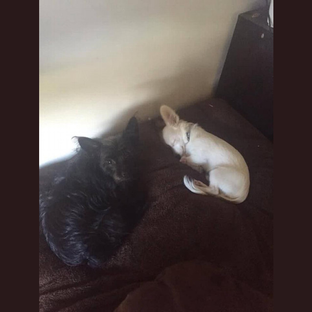 Photo of Sheldon (And Hope)