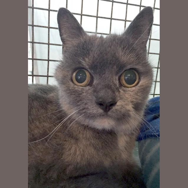 Photo of Milly
