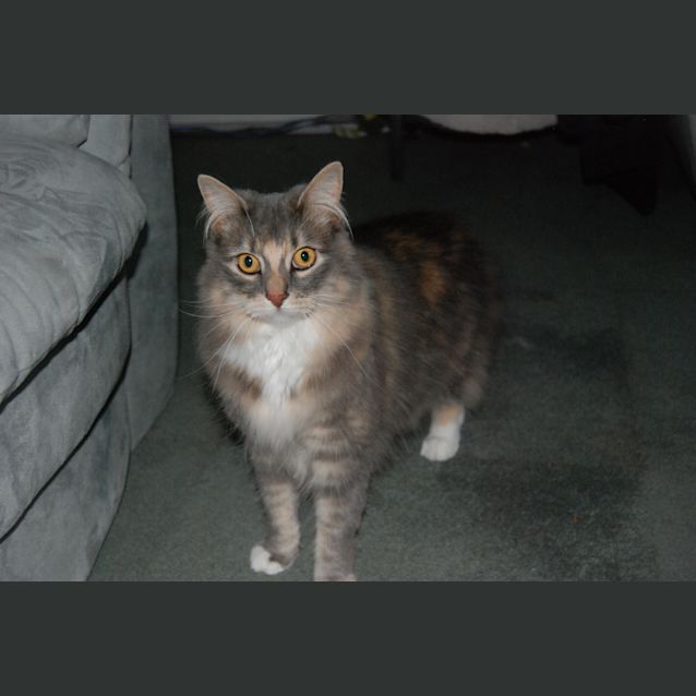 Photo of Lily