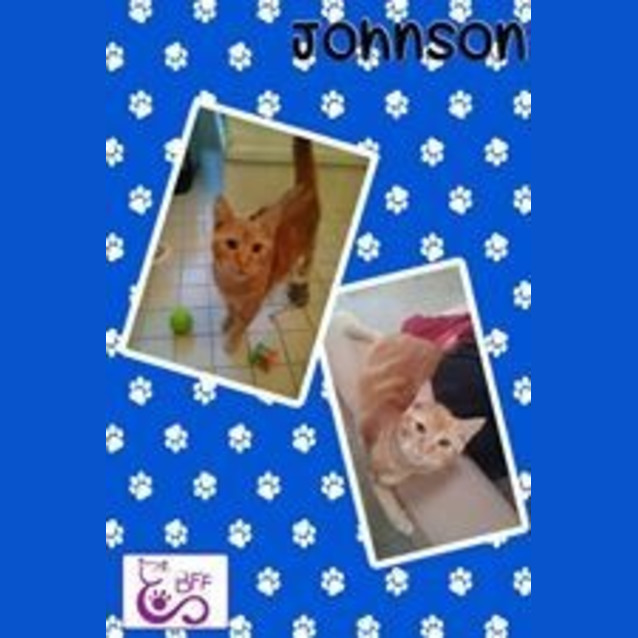 Photo of Johnson 