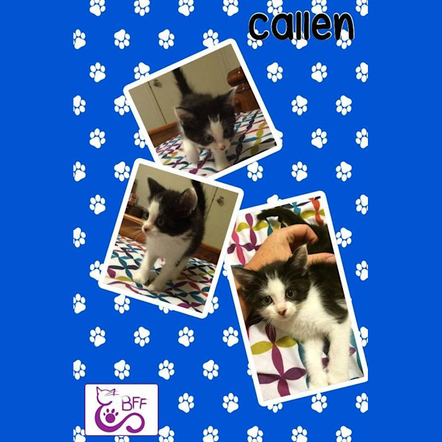 Photo of Callen 