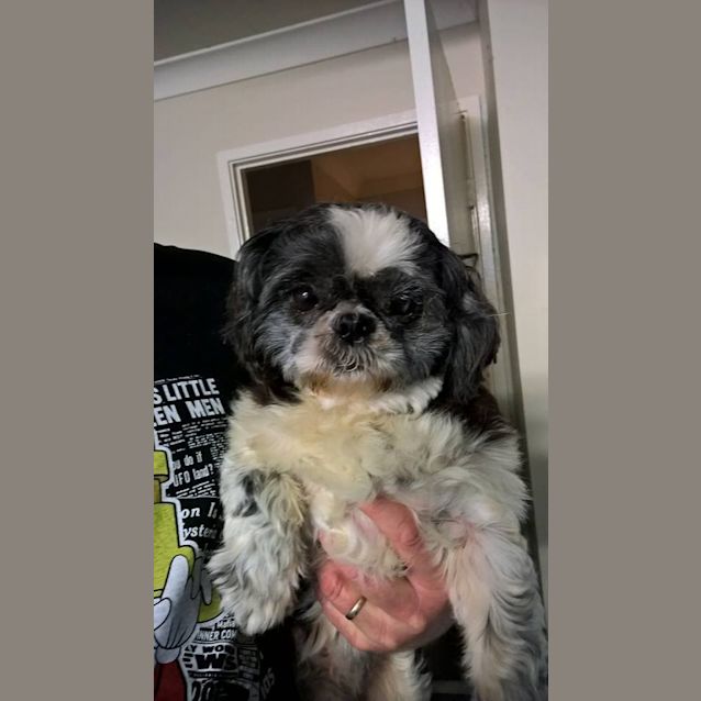 Photo of Bella