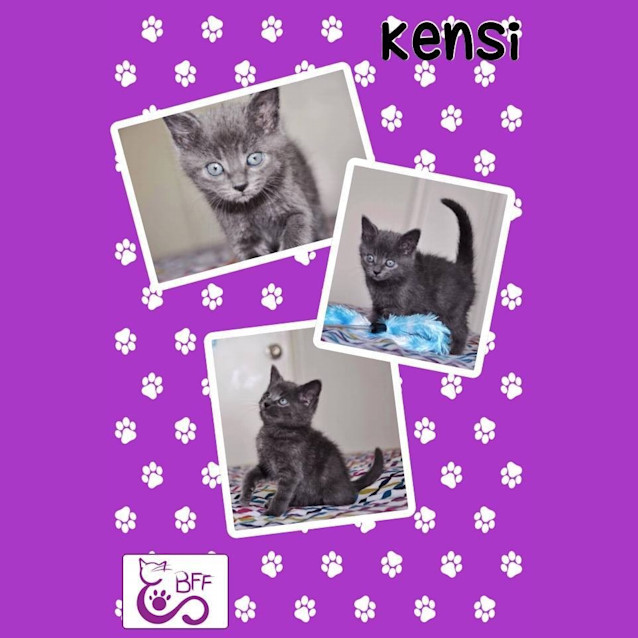Photo of Kensi 
