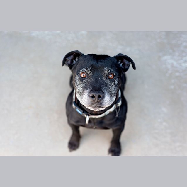 Photo of Emmett