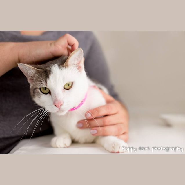 Photo of Leana De Bruin (4448)