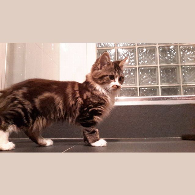 Photo of Bessie   Has A Meet And Greet