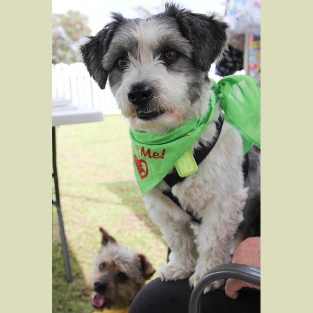 Photo of Manny (1104) & Kiff (1105)
