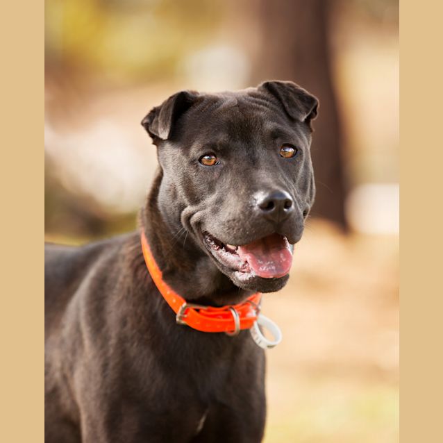 Photo of Annie