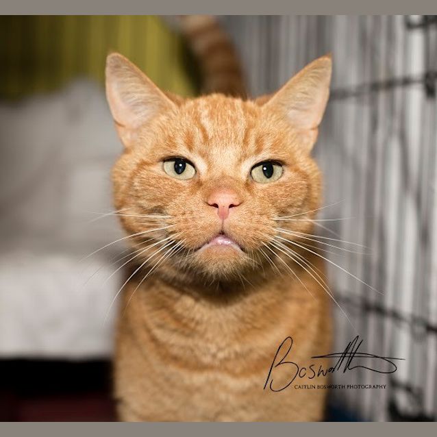 Photo of Eddie