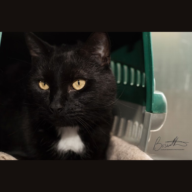 Photo of Bo Jangles