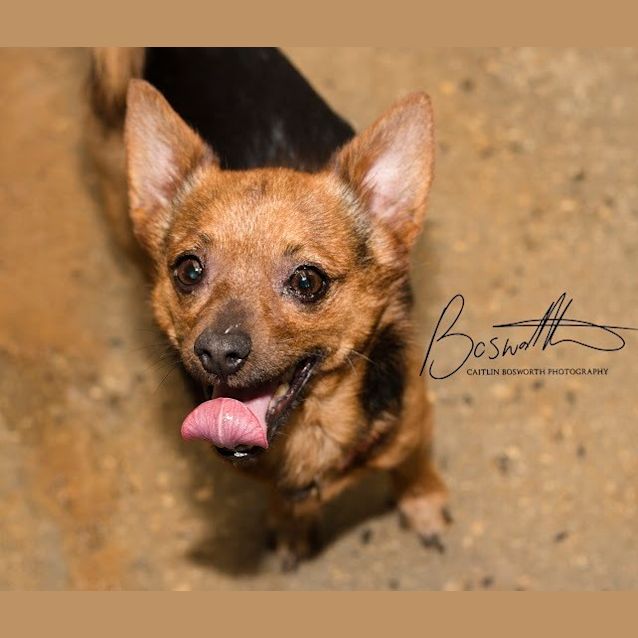Photo of Tota
