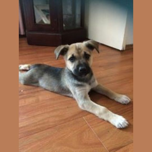 Photo of Tinkerbelle