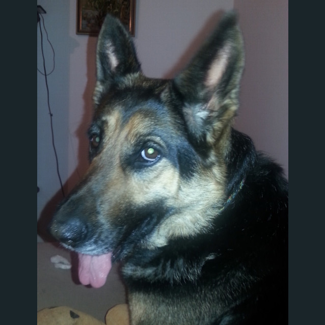 Photo of Zoe On Trial In Her New Home