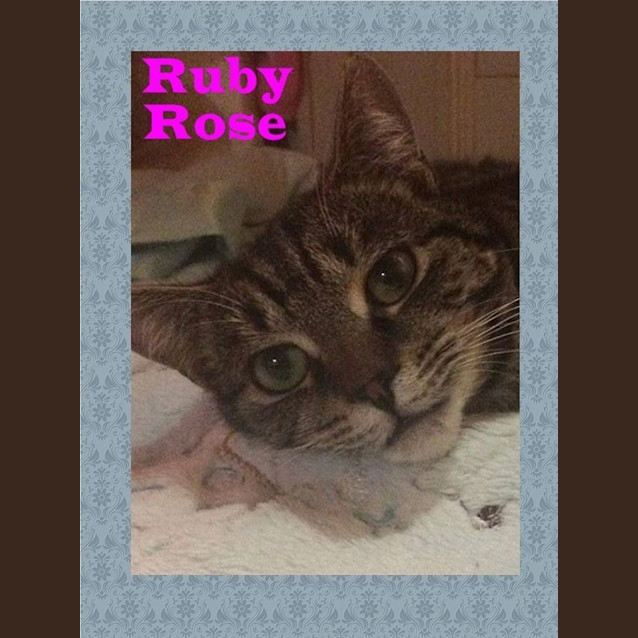 Photo of Ruby Rose