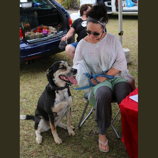 Photo of Nala (At Rspca Big Adopt Day Sept 17 Brisbane)