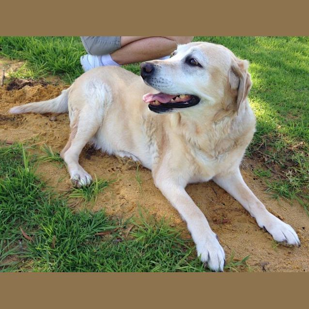 Photo of Molly Dl1210
