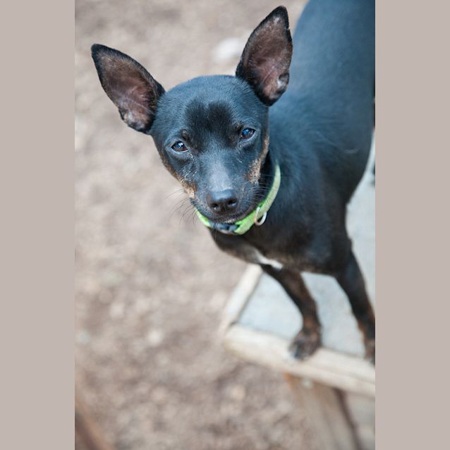 Photo of Taco