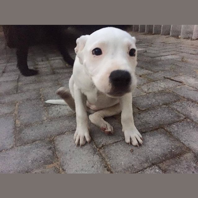 Photo of May Dl1149