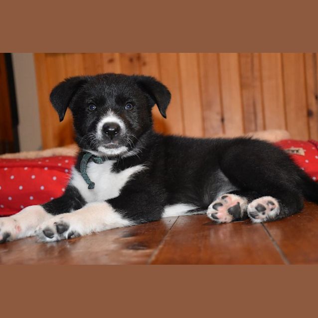 Photo of Maggie