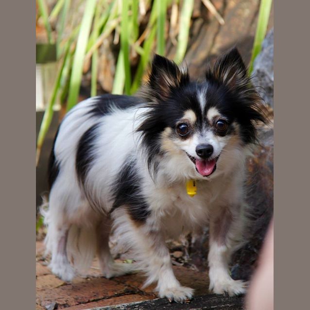 Photo of Yarnie And Lowa