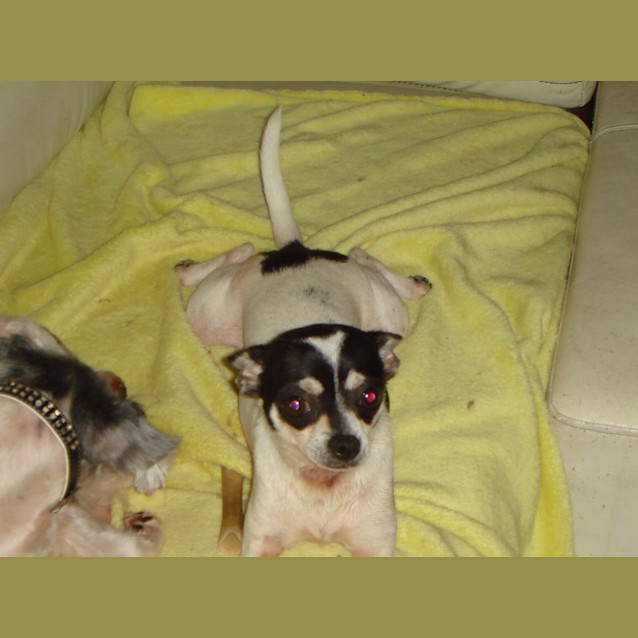 Photo of Phoebe