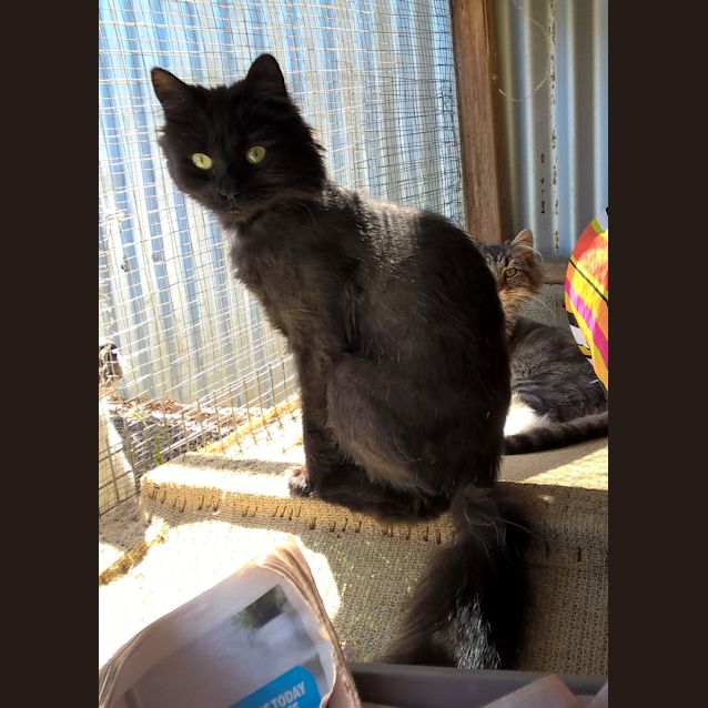 Photo of Greta