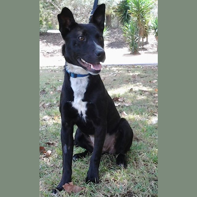 Photo of Coco