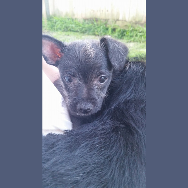 Photo of Ralph 