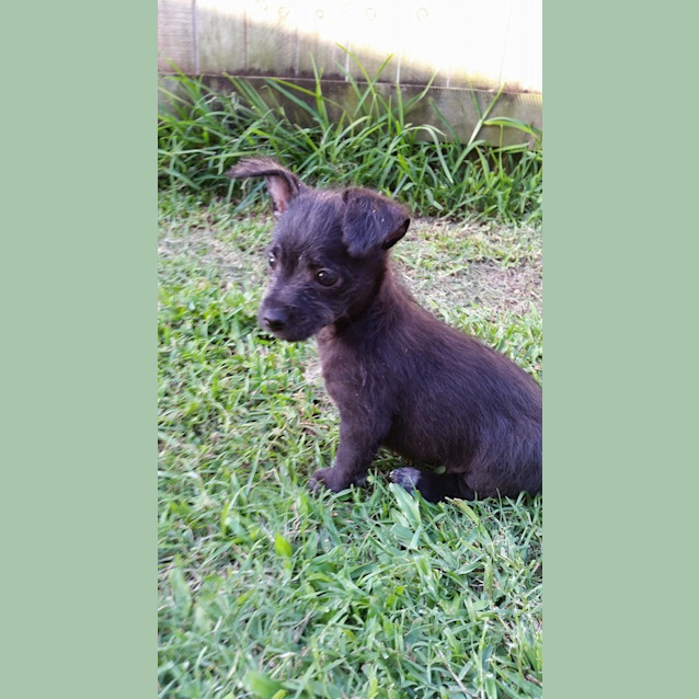 Photo of Ralph 