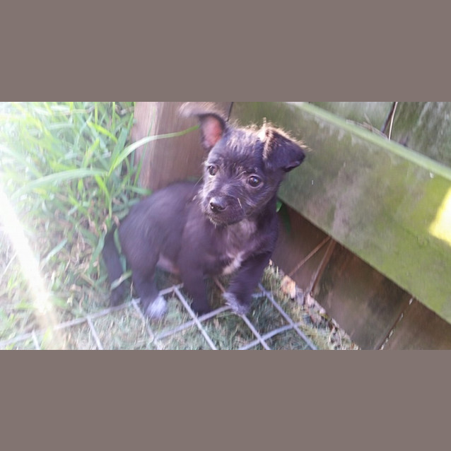 Photo of Ralph 